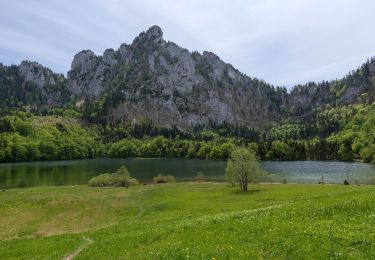 Tocht Te voet Gmunden - Wanderweg 22 - Photo