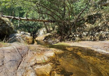 Excursión Senderismo Saint-Étienne-du-Valdonnez - Gorges du Bramont - Photo