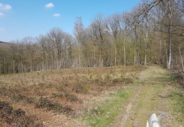 Tocht Paardrijden Viroinval - Olloy 180421 - Photo