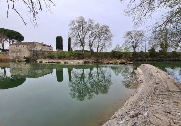 Randonnée Marche Marsillargues - Marsillargues_Aimargues - Photo