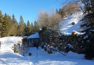 Trail Snowshoes Les Rousses - combe du vert - Photo