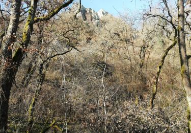 Tour Wandern Thouars - randonnée cascade de pommier PR10 - Photo