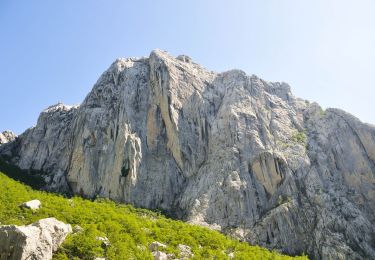 Randonnée A pied  - Bukova staza - Photo