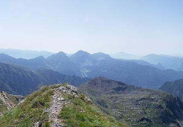 Percorso A piedi Teglio - Sentiero dei Camosci - Photo