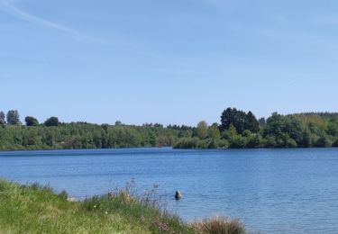 Randonnée Marche Butgenbach - A la découverte du Lac de Butgenbach - Photo