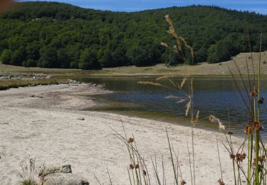 Trail Walking Aumessas - mouzoules - Photo