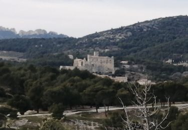 Trail Walking Caromb - lac du paty petit circuit - Photo