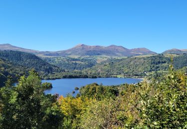 Trail Walking Chambon-sur-Lac - Lac Cambon et Château de Murol - Photo