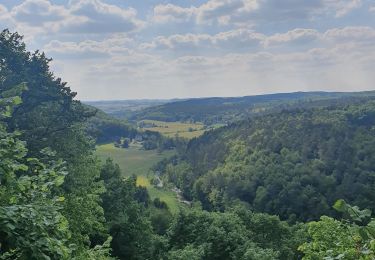 Tour Wandern Tellin - Resteigne -Belvaux- rocher a pic -Resteigne - Photo