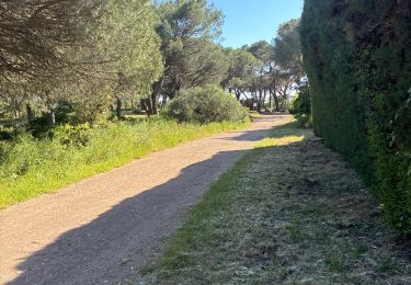 Trail Walking Fréjus - 83 valescure - Photo
