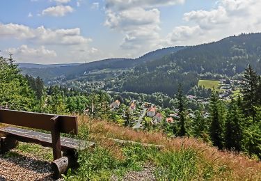 Randonnée A pied Warmensteinach - Warmensteinach Rundwanderweg Nr. 9 - Photo