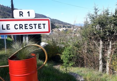 Tour Elektrofahrrad Bourg-de-Péage - 2022-04-16-Lamastre  - Photo