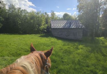 Trail Horseback riding Le Pontet - 202405 boucle BourgetEnHuile - ColGrandCucheron - Photo