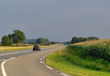 Tour Zu Fuß Rijssen-Holten - WNW Twente - Oosterhof- gele route - Photo