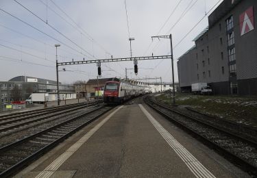 Randonnée A pied Kloten - Kloten - Bülach - Photo