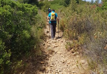 Trail Walking La Ciotat - 2019 06 24 Grotte Terrevaine Baou Rous - Photo