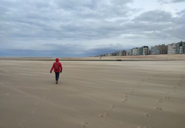 Excursión Senderismo Koksijde - Strandwandeling Sint-Idesbald - Koksijde - Photo