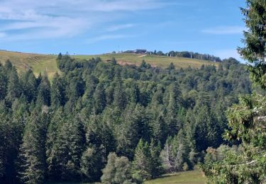 Tocht Stappen Stosswihr - Le col de la Schlucht lac de la Lande - Photo