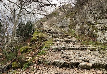 Excursión Senderismo Plan-d'Aups-Sainte-Baume - Sainte Baume 8,5 km - Photo