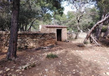 Trail Walking Caromb - caromb 84 - Photo