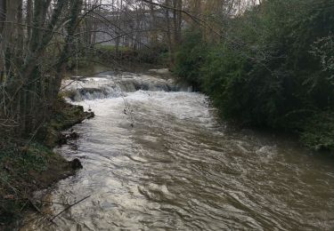 Trail Walking Gueures - Gueuues Ouville St Denis d'aclon - Photo