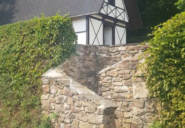 Trail Walking Jalhay - le bois de staveu - Photo