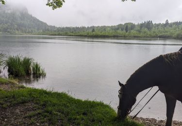 Tour Reiten Le Frasnois - suuntoapp-HorsebackRiding-2024-05-22T07-07-14Z - Photo