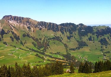 Percorso A piedi Dallenwil - Dominikpfad - Photo