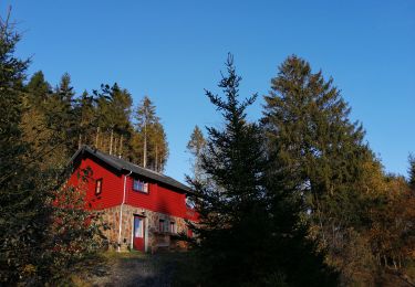 Excursión Senderismo Manhay - De l'autre côté de la chavée - Photo