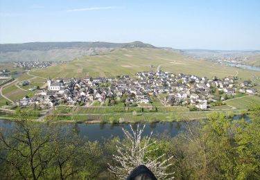 Randonnée A pied Minheim - Sonneninselrundweg - Photo