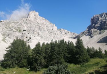 Trail Walking Montmaur - Pic de bure - Photo