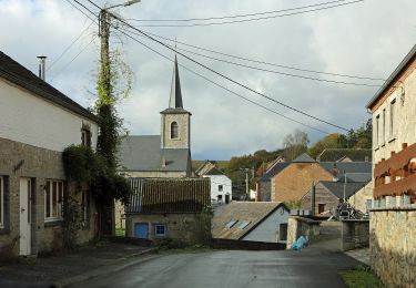 Randonnée A pied Houyet - Promenade de Lavis - Photo