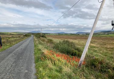 Tour Wandern Westport-Belmullet Municipal District - Killadoon beach loop - Photo