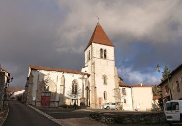 Trail On foot Saint-Bonnet-le-Chastel - Le Pont du Roux - Photo