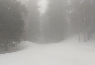 Excursión Raquetas de nieve Autrans-Méaudre en Vercors - Pas de la clé - Photo