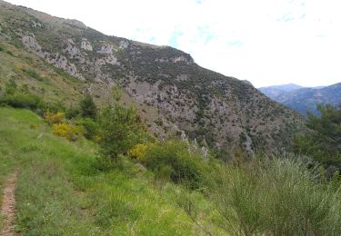 Trail Walking Fontan - fontan ceva - Photo