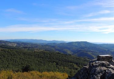 Trail Walking Lachaux - Lachaux_Rez_Sol_2 - Photo