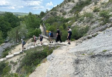 Excursión Senderismo Quinson - Quinson Verdon 13 km - Photo