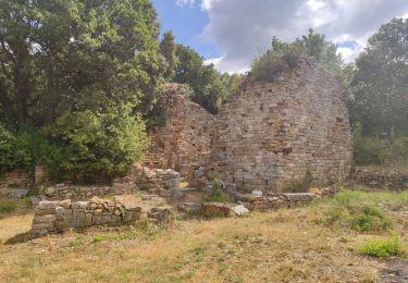 Tour Wandern Gaujac - Gaujac - Oppidum - Photo