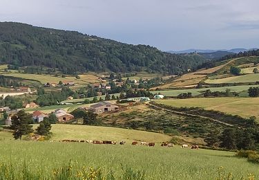 Trail Walking Laveyrune - chemin de Stevenson étape 6 - Photo