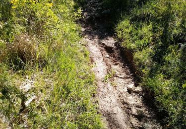 Percorso Marcia Montclar-sur-Gervanne - Col de Gerbe - Photo