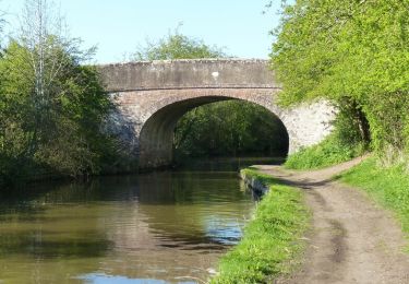 Tocht Te voet Wychavon - Hanbury Circular Walk - Photo