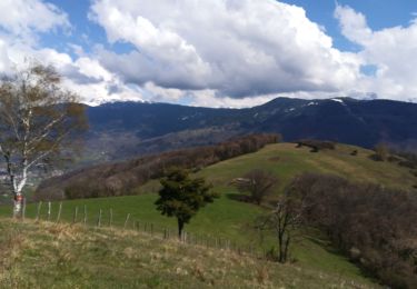 Trail Walking Montchaboud - montchaboud 2019 - Photo