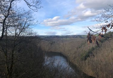 Tocht Stappen Houffalize - Tour du Barrage + - Photo