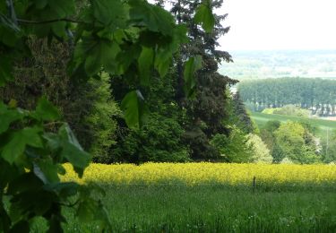 Trail On foot Preußisch Oldendorf - A2 Preußisch Oldendorf-Eininghausen - Photo