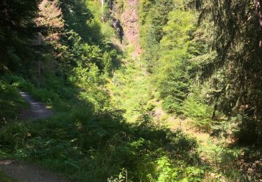 Trail Walking Storckensohn - Storckensohn-Gazon Vert vers l'étang - Photo