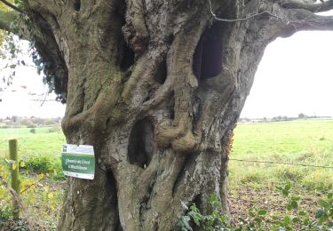 Percorso Marcia Sprimont - Lincé et environs - Photo