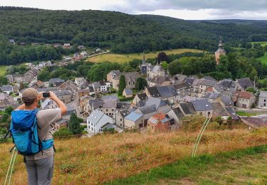 Tocht Stappen Viroinval - De Vierves à Dourbes par les ruines du château de Haute Roche - Photo