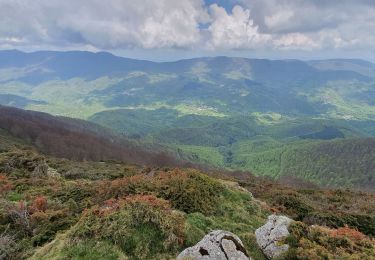 Excursión Senderismo Orgibet - pic de Sérau depuis Orgibet  ( 2ème:07.05.2022) - Photo