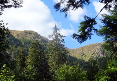 Tour Reiten Stoßweier - 2018-08-26 Picnic CVA Cascades Stosswihr - Photo